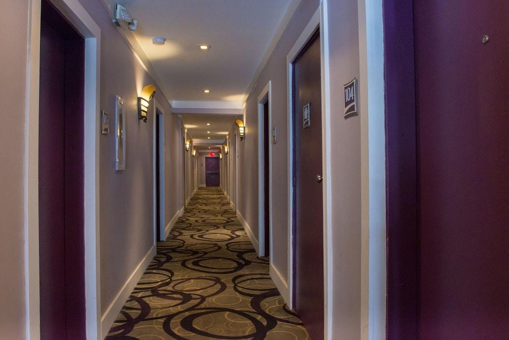 Shelley Hotel Miami Beach Zewnętrze zdjęcie